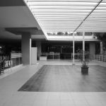 Spacious indoor atrium in black and white, featuring modern design and potted plants.